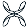 Skyseed logo